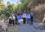 "School children also participated in the voter awareness campaign."